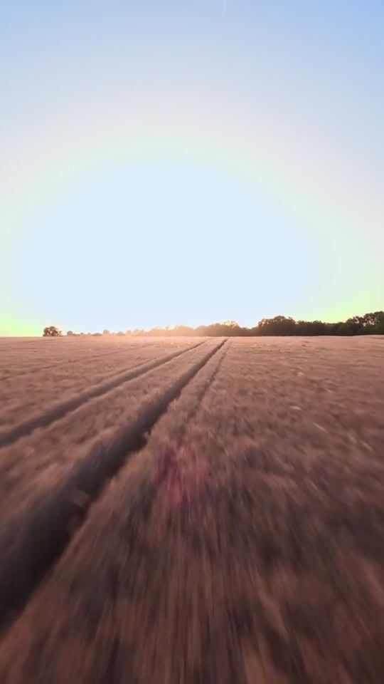 Hochformat-Szene aus dem Showreel: Tiefflug über ein Weizenfeld in der Abendsonne